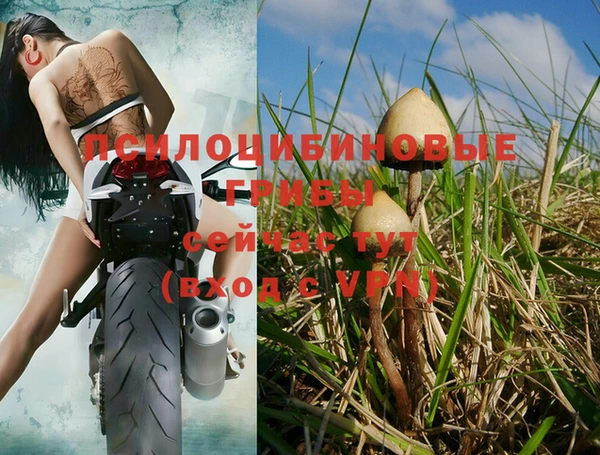 круглые Верхний Тагил